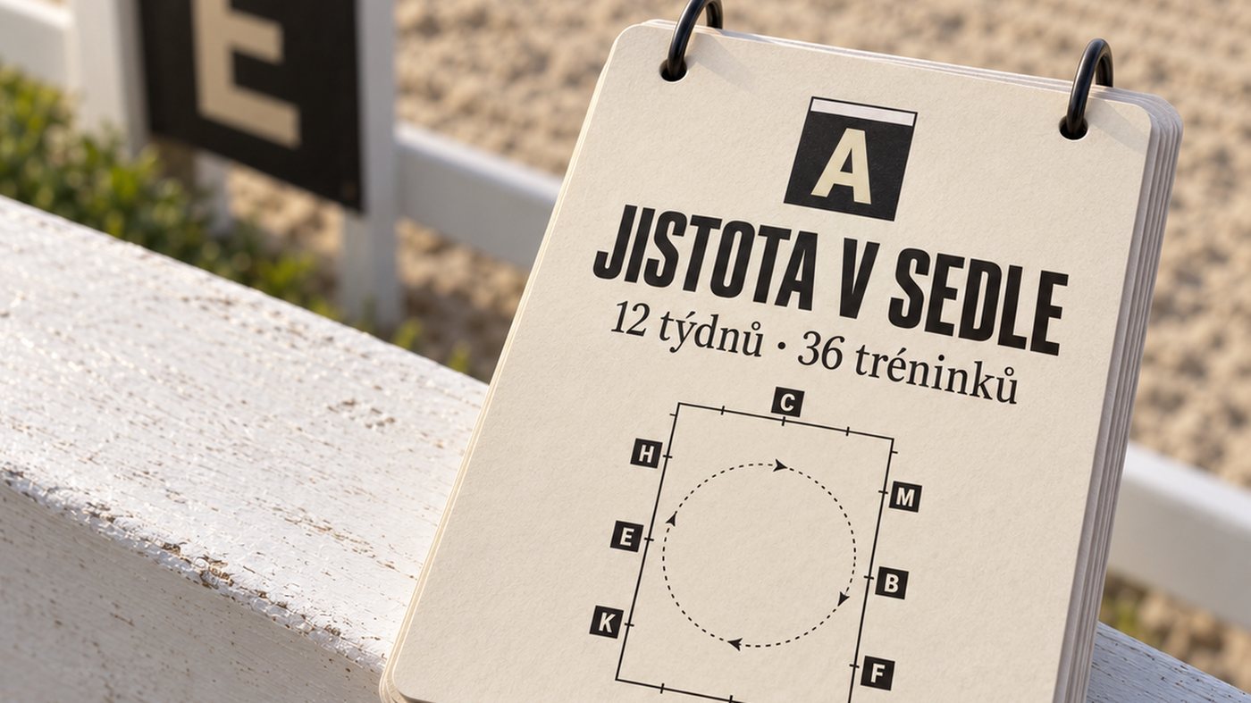 Tréninkové karty Jistota v sedle na kroužkové vazbě, položené na ohradě jízdárny