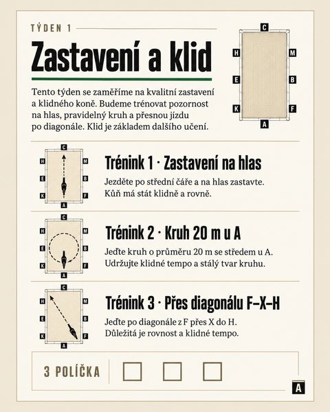 Stránka z programu