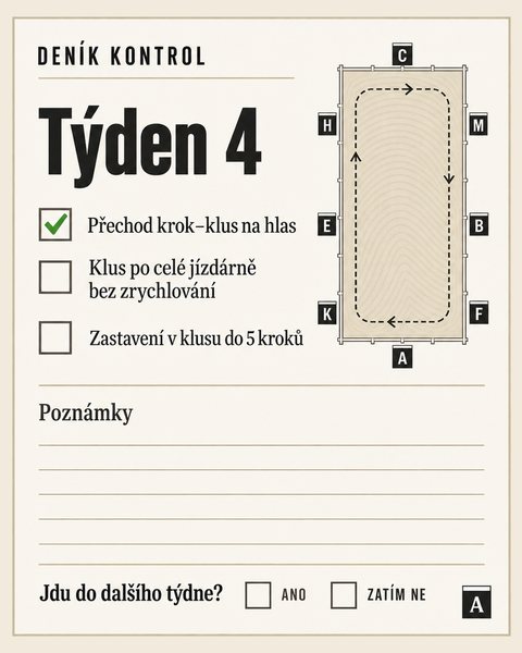 Stránka z programu