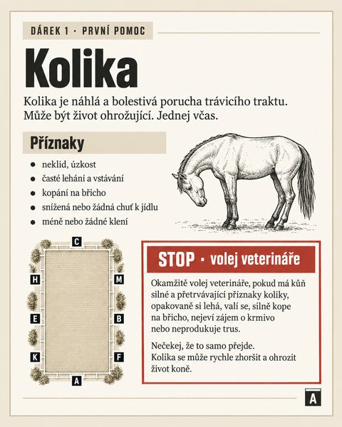 Stránka z programu